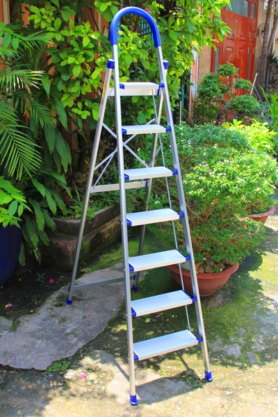 Thang nhôm ghế tay vịn kiểu Đức NIKITA DL07